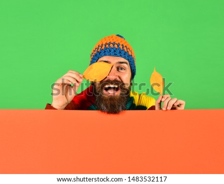 Man holds cherry tree leaves on green and orange background, copy space. Hipster with beard and cheerful face closes eyes with leaf. October and November time idea. Autumn and cold weather concept