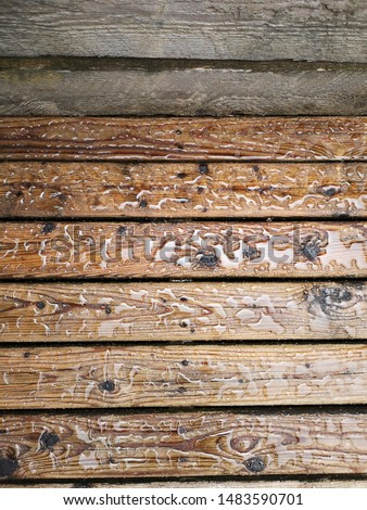 Wet wood.  water on patio after rainy weather. 