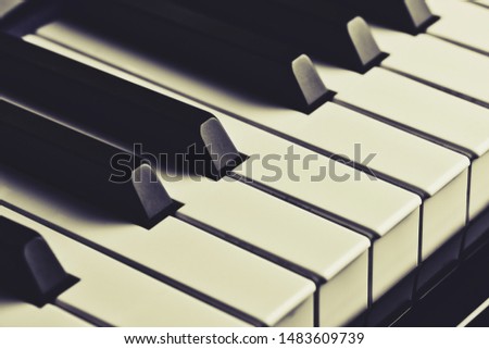close up of piano keys in vintage style