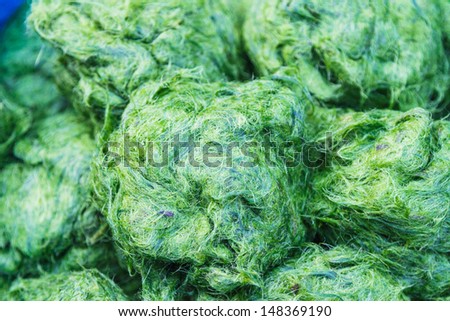 freshwater algae or spirulina,Spirulina represents a biomass of cyanobacteria that can be consumed by humans and other animals,blue green algae Royalty-Free Stock Photo #148369190
