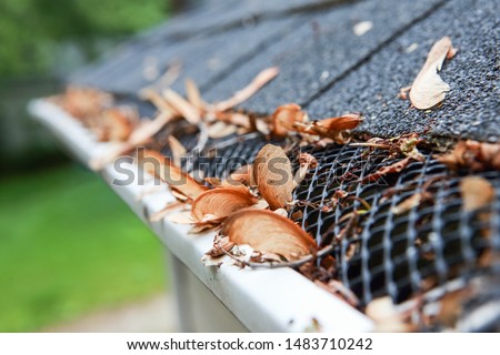 Plastic guard over gutter on a roof with seed pods stuck in the mesh Royalty-Free Stock Photo #1483710242