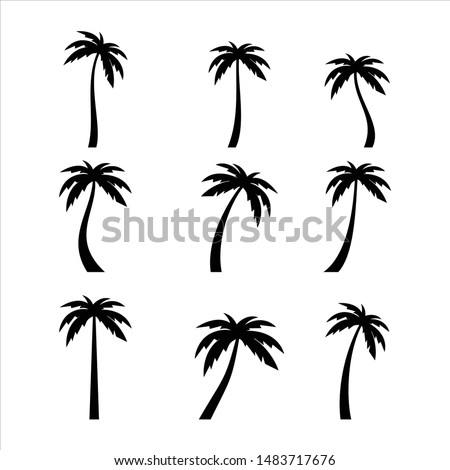 Palms tree icons on white background
