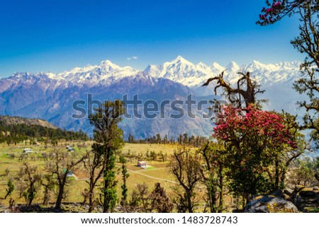 This is the view of Himalayas Panchchuli peaks & alpine landscape from Khalia top trek trail at Munsiyari. Khalia top is at an altitude of 3500m himalayan region of Kumaon, Uttarakhand, India. Royalty-Free Stock Photo #1483728743