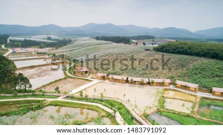 Aerial view of blueberry plantation in Wuyuan Shanshui Park Xuancheng City Anhui Province China