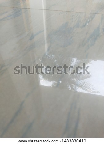 reflection of a coconut tree on a tile