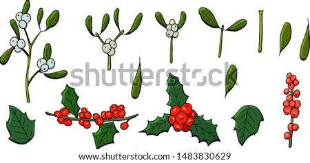 colored christmas set vector that consists of mistletoe and holly. Construct your own colored christmas wreath.