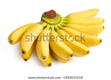 Bunch of delicious baby bananas, isolated on white background Royalty-Free Stock Photo #1483835618