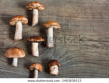 Edible white mushrooms lying on a cutting Board with a copy of the space