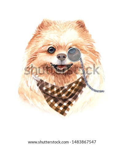 Pomeranian dog. Portrait of a dog. Watercolor hand drawn illustration.Watercolor 	
Pomeranian with Monocle and Chess scarf layer path, clipping path isolated on white background.
