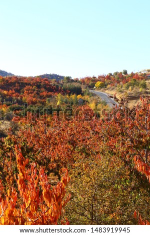 spectacular views of the autumn season. colorful fall photos.