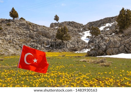 Turkish flag landscape. Flag inside flowers. country flags