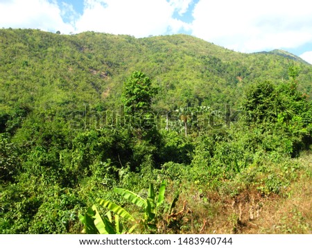 Tropical nature on mountains, Myanmar