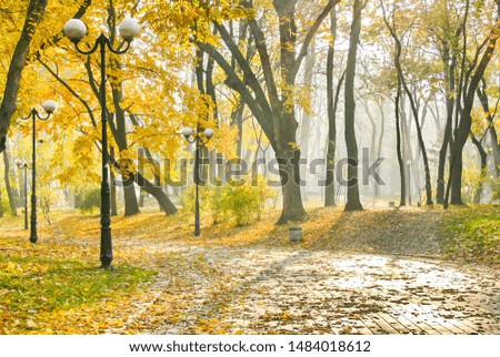 Autumn. Fall. Autumnal Park. Autumn Trees and Leaves
