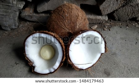 two dried coconuts with one sliced. Fresh coconut cut open in half. for cooking, frying, seasoning sambar, chutney. coconut oil, desiccated/ powder milk.