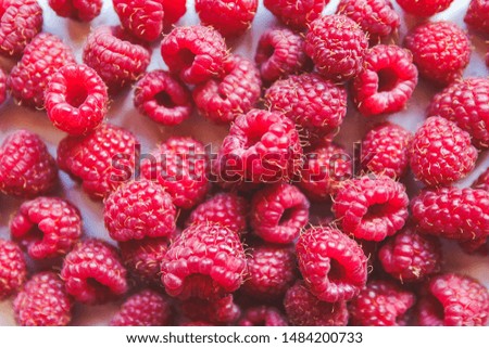 Ripe raw sweet raspberries isolated on white table with shadows. Macro. Red berry texture pattern flat lay. Print wallpaper idea concept. Vitamin product