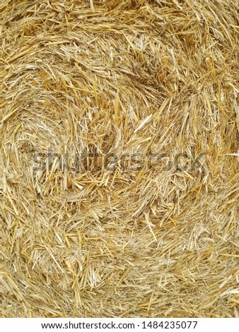 Close-up of straw as a picture background