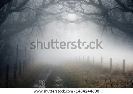 A moody artistic double exposure of an eerie path in the countryside next to woodland on a cold spooky, foggy day.