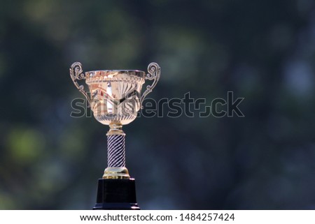 Winning trophy at the outdoor park. Shallow DOF.