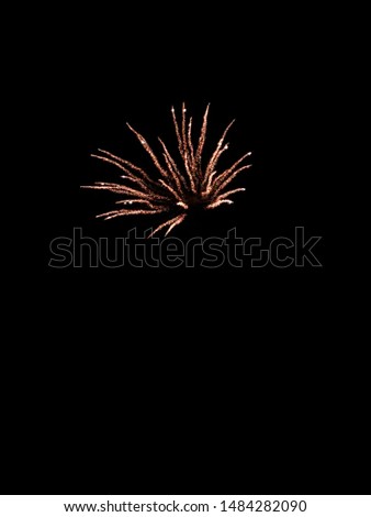 Picture of a firework from the 4th of July.