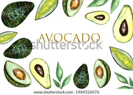 Watercolor background for avocado oil label, package, template. Hand drawn illustration of fresh green avocado, Concept for organic vegetarian food.isolated on white background.