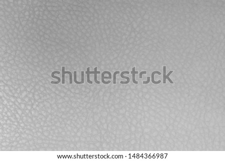 White leather texture background. Skin pattern for manufacturing of luxury shoes, clothes, bags and fashion. Picture for wallpaper, design