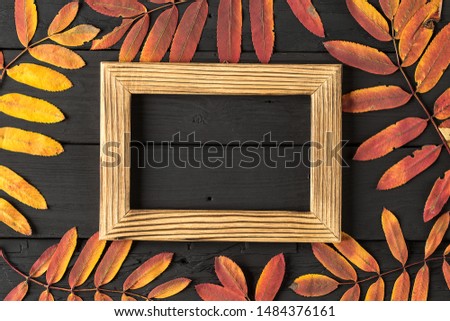 empty photo frame and colorful autumn dry leaves on black wooden background. Life cycle of fall leaf. Thanksgiving holidays concept. yellow and red autumn leaves. Top view, copy space