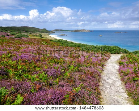 Pathway to Great Bay on the Island of St Martin's. Part of the Isles Of Scilly, the most south westerly part of England. August 2019. Royalty-Free Stock Photo #1484478608