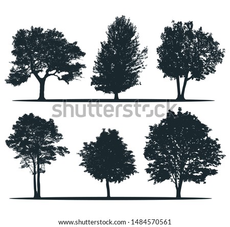 Tree silhouettes - ash, willow, elm, pine, chestnut, alder. Set of different trees. City trees. European nature.