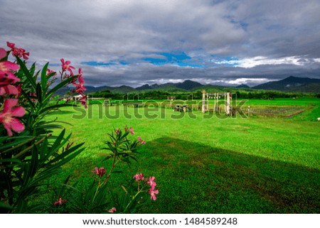 The background of the seat, resting in the view of the landscape (rice fields, mountains, rice, trees, fog) made of wood temporarily, to sit and rest during travel.