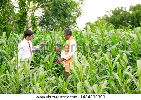 Indian farmer and agronomist checking and  Discuss  at Green Corn Field
