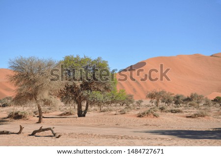 Beautiful landscape of Sossusvlei, Namibia