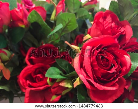 Close up. Beautiful red big roses fresh for natural background or wallpaper. Fake rose. Artificial flower. Photo with depth of field effect. - Image