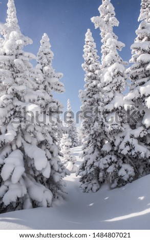 winter forest in the snow. Fairytale Forest.winter watercolor. snowfall.Sunny winter day with snow