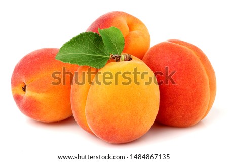  Apricot fruit with leaf isolated on white background.  Royalty-Free Stock Photo #1484867135
