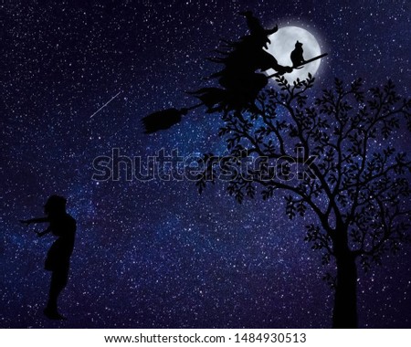 A nocturnal and tragic scene; a magician takes off in the sky taking away the inocent heart of a crying princess