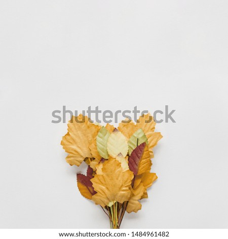 Bouquet of autumn leaves on white background