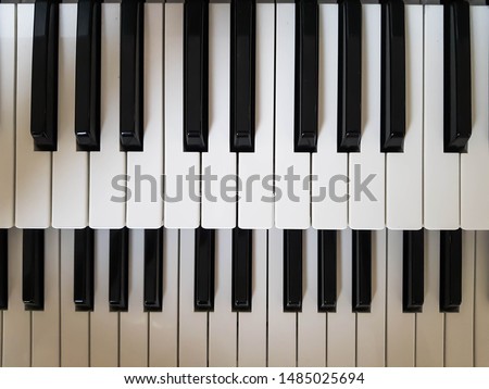 Black and white Dual Piano keys or Layout of Dual Piano Keys