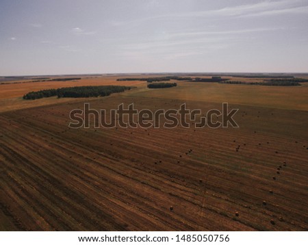 fields, forests and hay from above