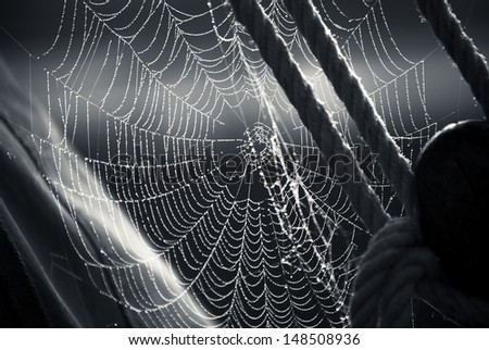 Morning dew on Spiderweb sailboat detail