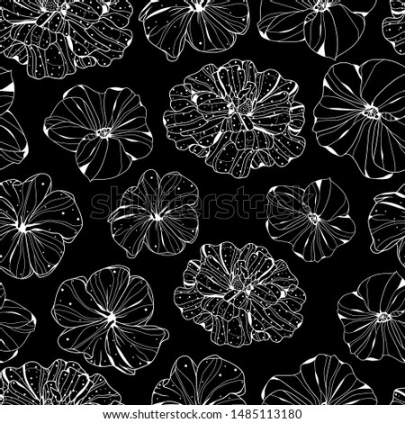 Pattern Illustration Of Petunia Flowers. Beautiful Background.Circuit