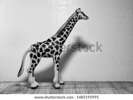 Toy Giraffe, Indoor view, White Background. Mono Color look.