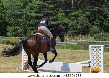 Equestrian and Horse Show with Girl