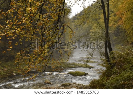 Beautiful landscape in Slovenia, in the fall, with colorful trees and transparent water