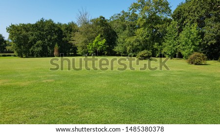 View of the grass and trees of the garden of an Atelier in Aquitaine France