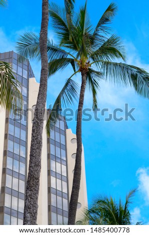 Palm treet in front of a building in a city in Hawaii.  