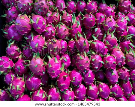 Dragon fruits . Variety of Gragin fruits,healthy  fruit good for weight loss