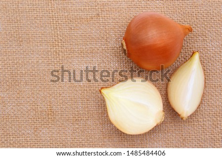 onion and slice on brown fabric sack background , top view.