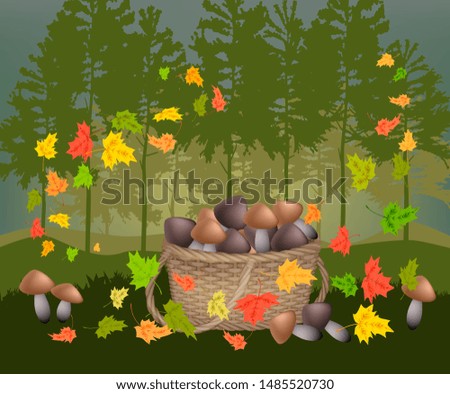 Vector illustration of mushrooms in the forest to gather mushrooms in the basket autumn fall leaves