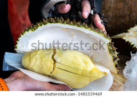 Cutting Thai fresh durian and ready to eat.