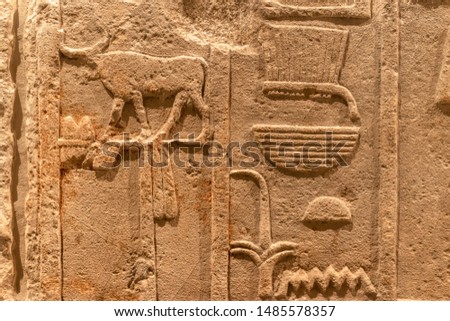 detailed background of different Ancient Egypt symbols carved on sandstone wall